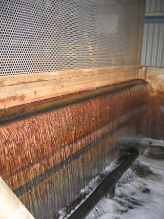 poultry case study Australia 2