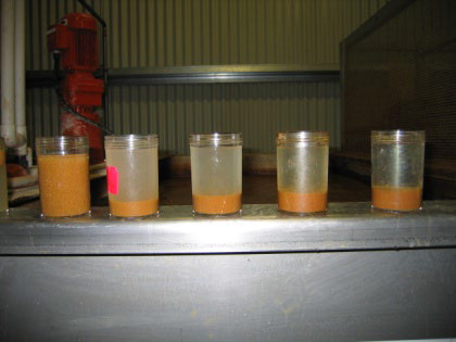 poultry case study Australia